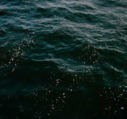 海浪般的思念 海浪般的思念