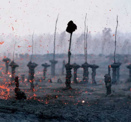 追…追…追的回聲 追…追…追的回聲