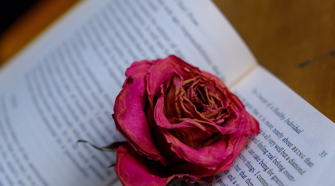 千山萬水,我的情書 千山萬水,我的情書