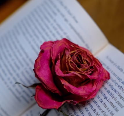 千山萬水,我的情書 千山萬水,我的情書