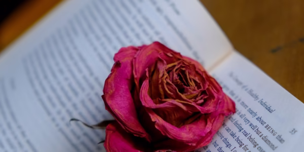 千山萬水，我的情書