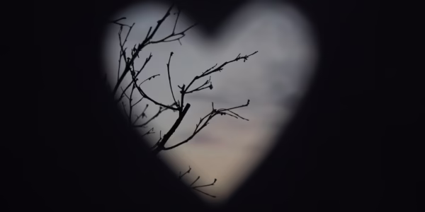 月亮惹的禍：我心的月光