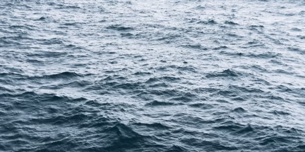 淚光閃爍的海浪，翻湧我的回憶