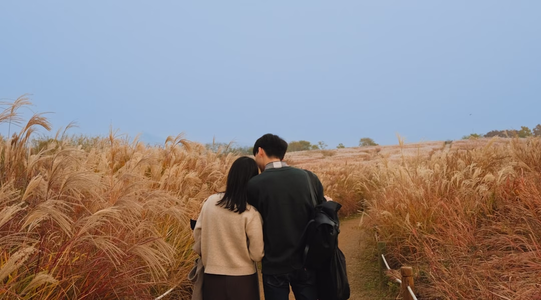 雨夜回憶,我的《記得》 雨夜回憶,我的《記得》