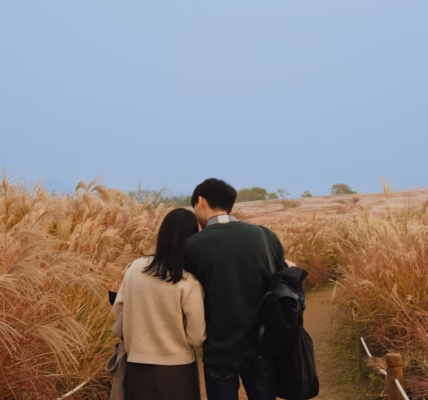 雨夜回憶,我的《記得》 雨夜回憶,我的《記得》