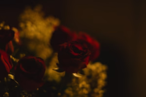 年輪裡的愛痕 年輪裡的愛痕