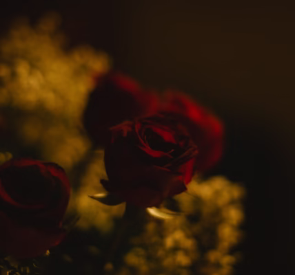 年輪裡的愛痕 年輪裡的愛痕