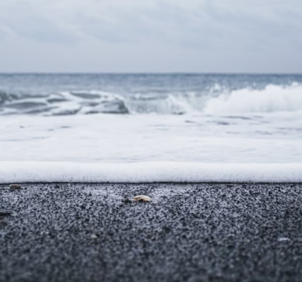 海浪里的青春梦 海浪里的青春梦