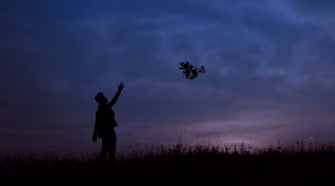 自由的光,照亮我的青春 自由的光,照亮我的青春