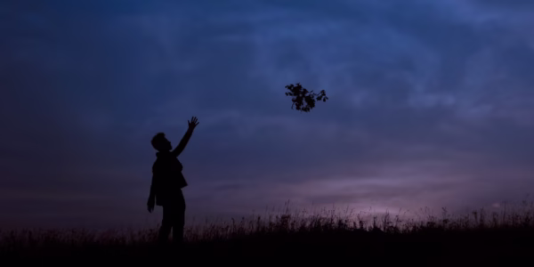 自由的光，照亮我的青春