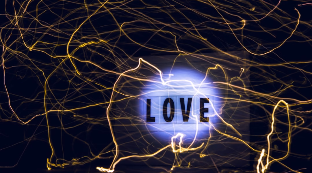 風雨裡的堅持歌 風雨裡的堅持歌