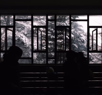 相見恨晚——友情的相惜 相見恨晚——友情的相惜