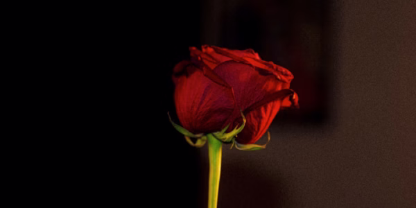 相見恨晚，錯過的愛情最遺憾