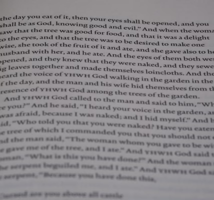 情書裡的千言萬語 情書裡的千言萬語