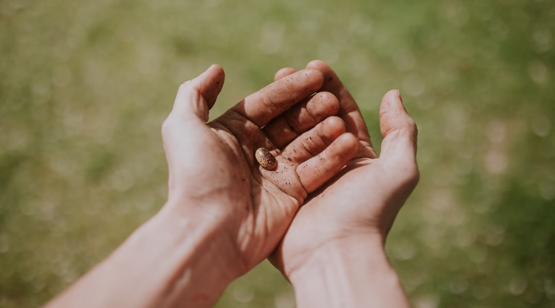 雨夜里的承诺 雨夜里的承诺