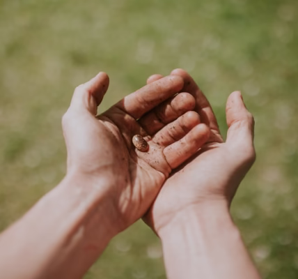 雨夜里的承诺 雨夜里的承诺