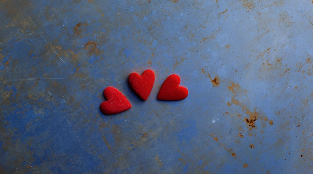 在失落中堅持的歌 在失落中堅持的歌