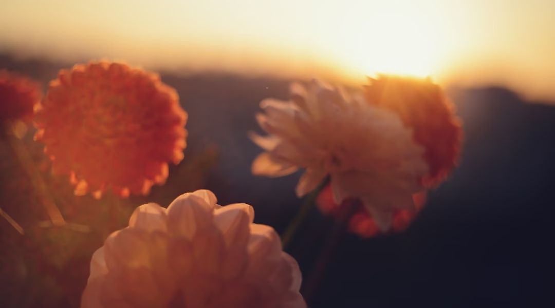 一句谢谢,点亮我心 一句谢谢,点亮我心