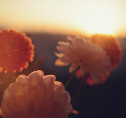 一句谢谢,点亮我心 一句谢谢,点亮我心