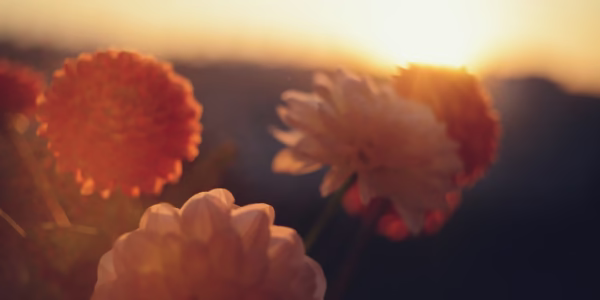 一句谢谢，点亮我心