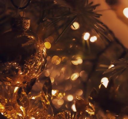 雪落在寂寞的夜 雪落在寂寞的夜