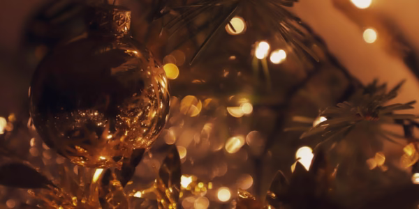 雪落在寂寞的夜