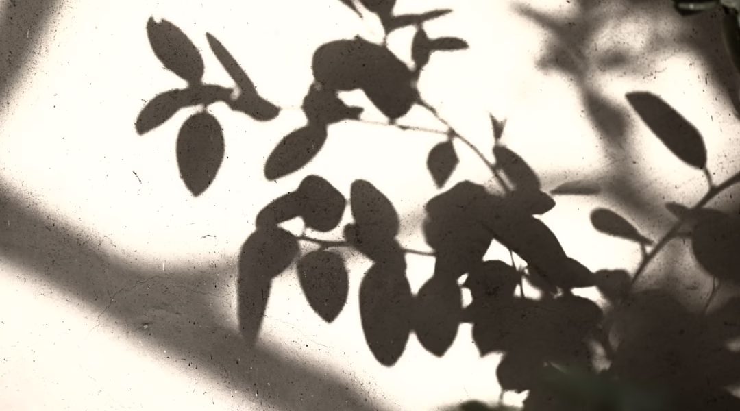 舊情綿綿,牽回心頭的旋律 舊情綿綿,牽回心頭的旋律