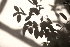 舊情綿綿,牽回心頭的旋律 舊情綿綿,牽回心頭的旋律