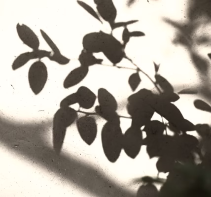 舊情綿綿,牽回心頭的旋律 舊情綿綿,牽回心頭的旋律