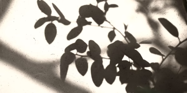 舊情綿綿，牽回心頭的旋律