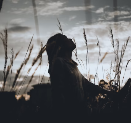 誰能讓青春回來 誰能讓青春回來