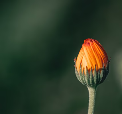 在路上,我学会了放手 在路上,我学会了放手