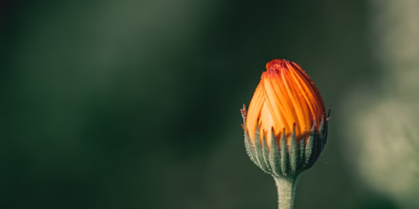 在路上，我学会了放手