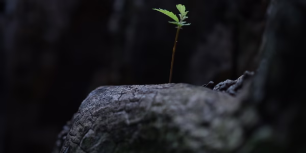 在舞台上的夢與我