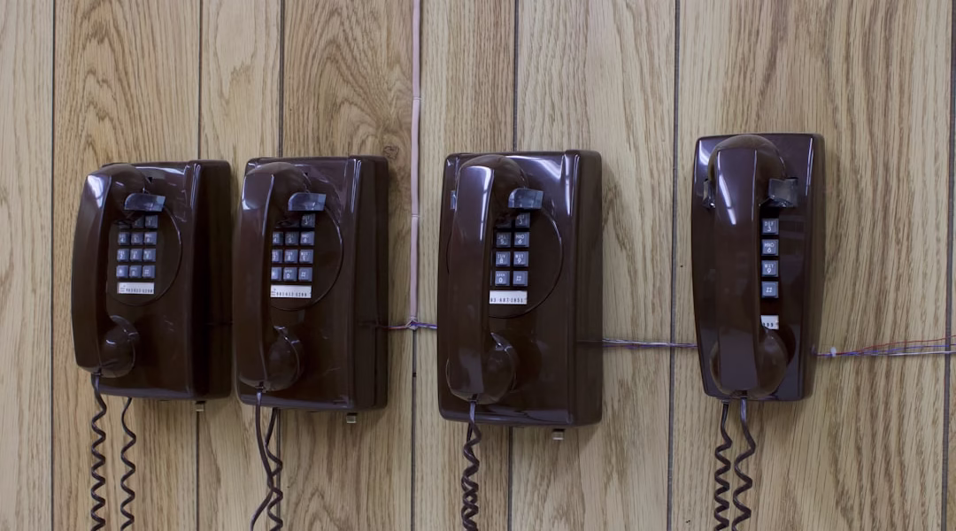 手機裡的鄧麗君:我怎能離開你 手機裡的鄧麗君:我怎能離開你