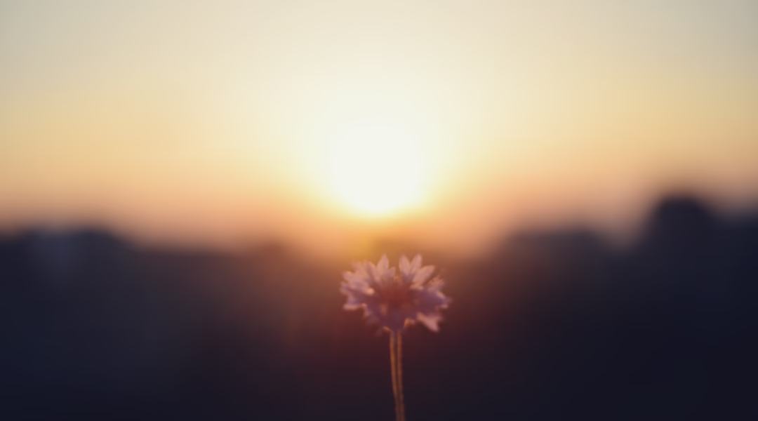 你最需要的那一刻 你最需要的那一刻