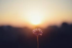 你最需要的那一刻 你最需要的那一刻