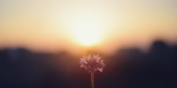 你最需要的那一刻