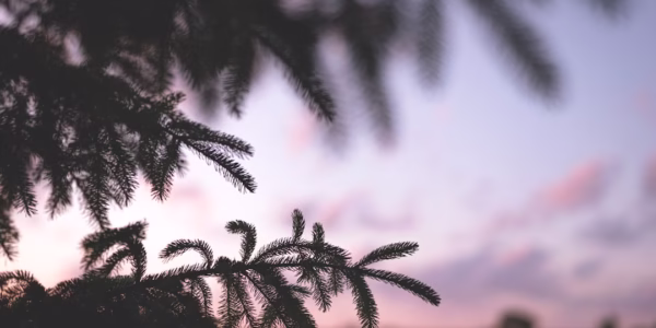 在變換中尋覓光亮