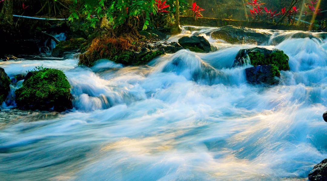 水長流,靜聽心中星光 水長流,靜聽心中星光
