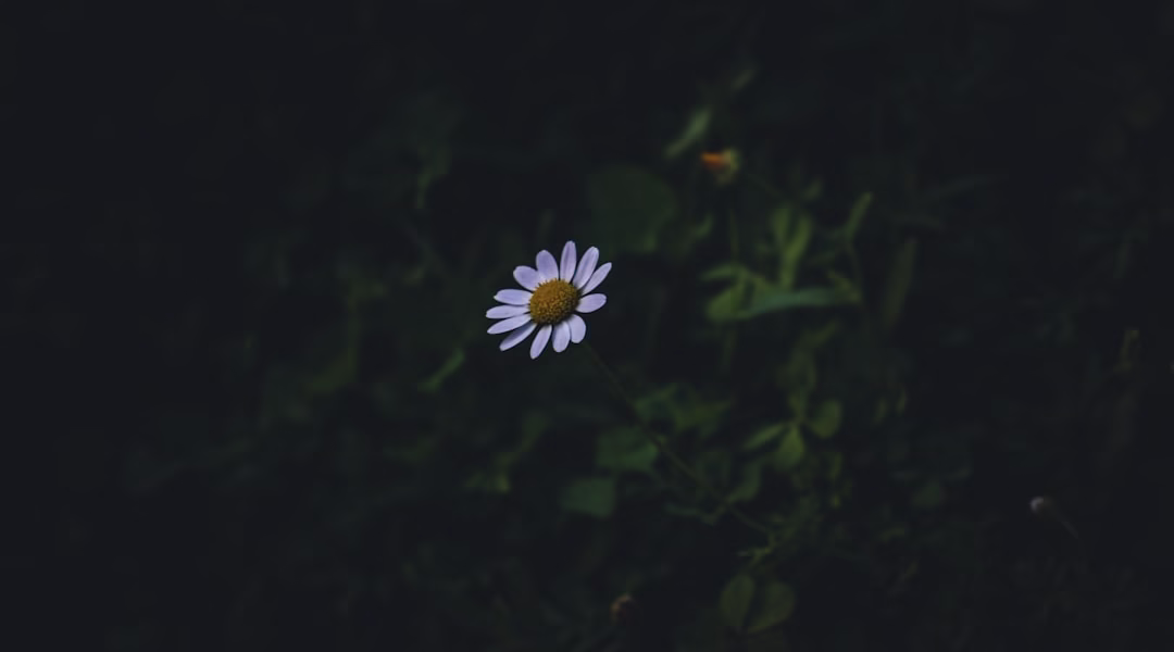 雨声里寻找新生 雨声里寻找新生