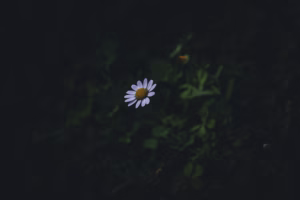 雨声里寻找新生 雨声里寻找新生