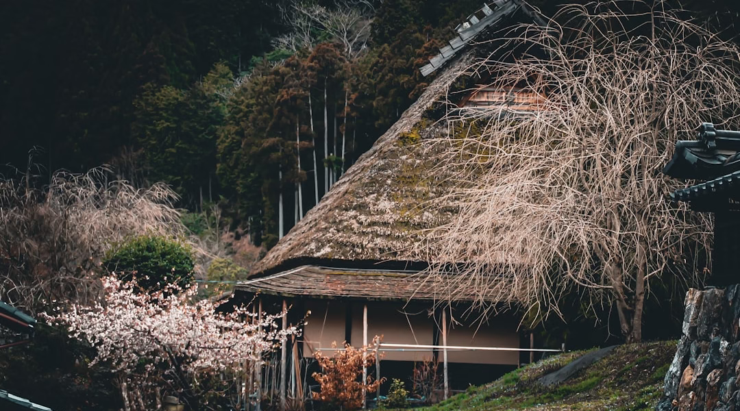 故鄉歌聲裡的回音