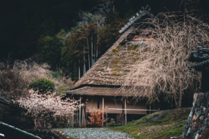 故鄉歌聲裡的回音 故鄉歌聲裡的回音