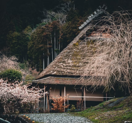 故鄉歌聲裡的回音 故鄉歌聲裡的回音