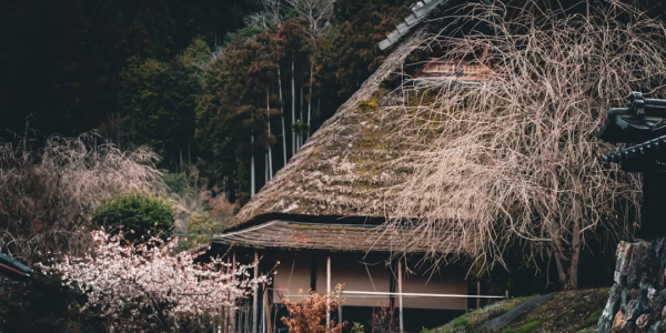 故鄉歌聲裡的回音