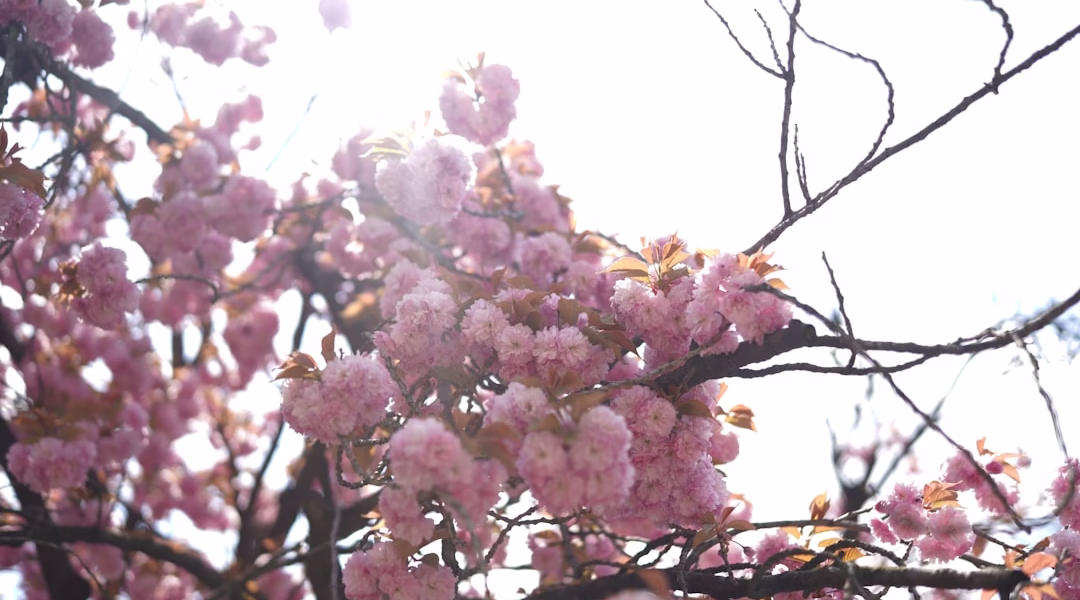 春秋團圓:但願人長久 春秋團圓:但願人長久