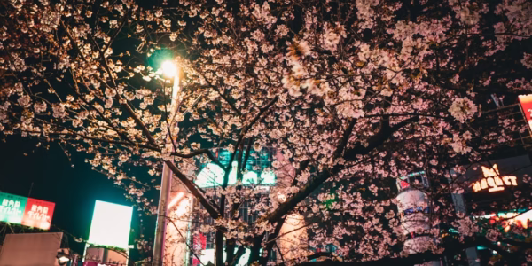 春風滿小城的回憶