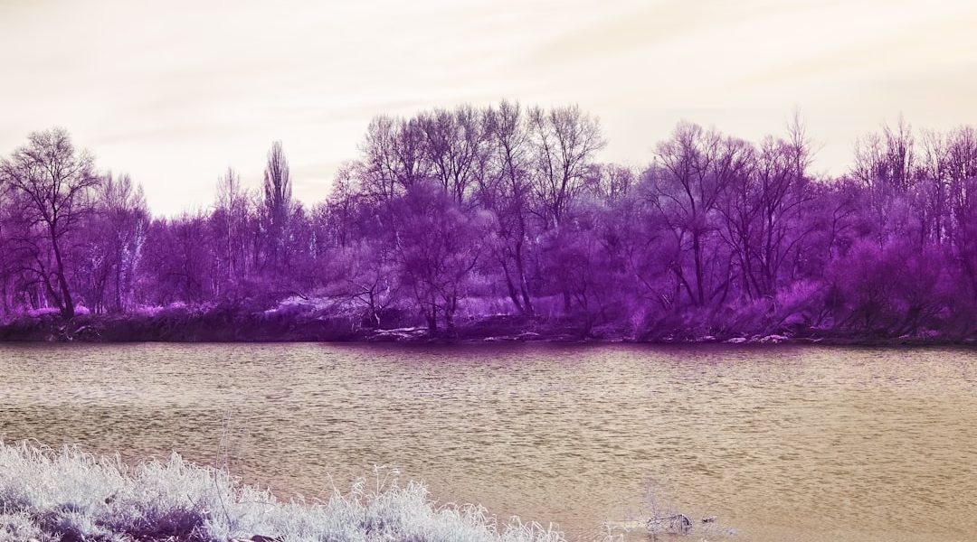 時間河流的回聲