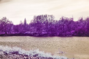 時間河流的回聲 時間河流的回聲